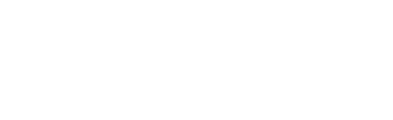 Digi.Lease logo